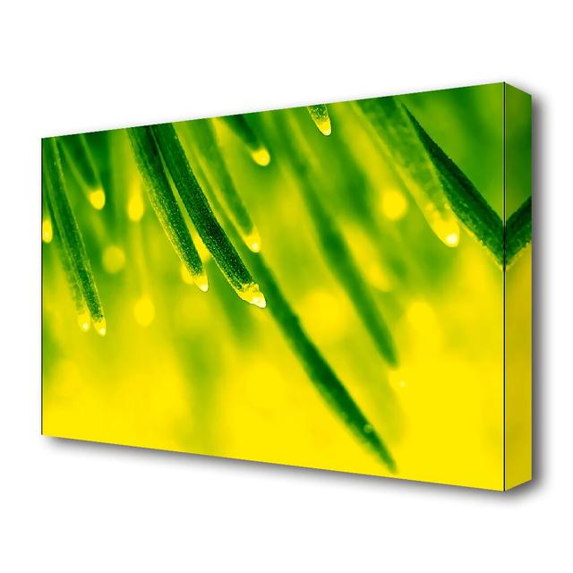 Energy Of A Plant Flowers Canvas Print Wall Art East Urban Home Size: 101.6 cm H x 142.2 cm W on Productcaster.