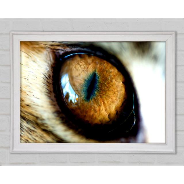 Mordor Eye Framed Print Bright Star Size: 21cm H x 29.7cm W x 1.5cm D on Productcaster.