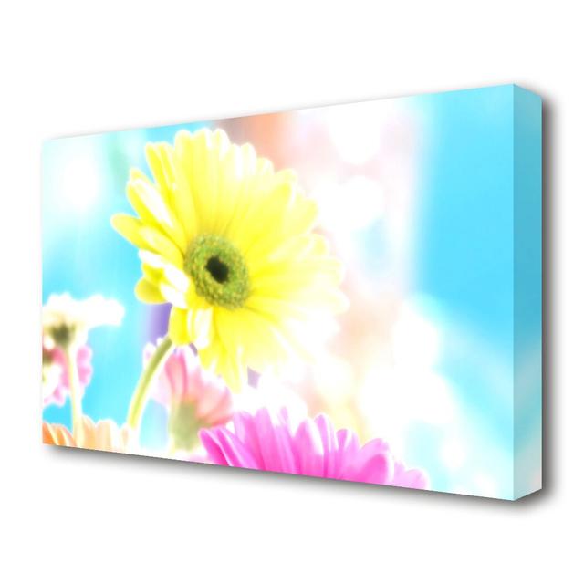 Colourful Summer Rainbow Flowers Flowers Canvas Print Wall Art East Urban Home Size: 66 cm H x 101.6 cm W on Productcaster.