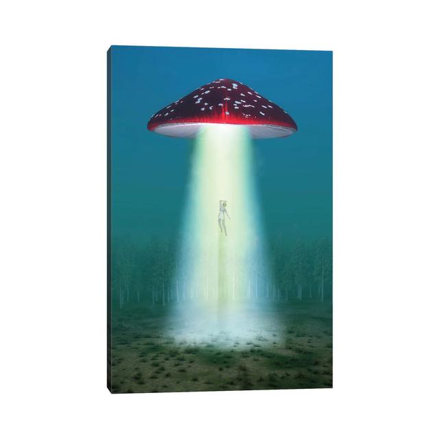 Flying Hallucinogenic Mushroom Kidnaps a Woman at Night by Mike Kiev - Wrapped Canvas Graphic Art Happy Larry Size: 101.6cm H x 66.04cm W x 1.91cm D on Productcaster.