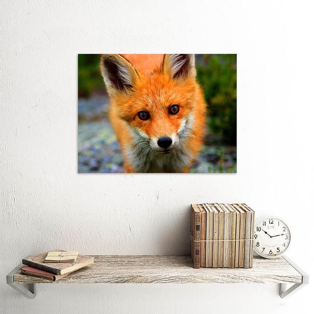 Baby Fox Portrait Woodland Animal Wildlife Art Print Poster Wall Decor Alpen Home on Productcaster.