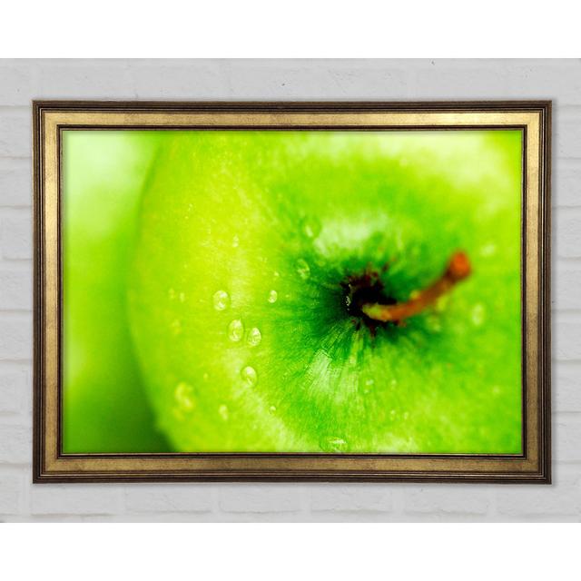 Dewdrop Apple - Single Picture Frame Art Prints Ebern Designs Size: 29.7cm H x 42cm W x 1.5cm D on Productcaster.