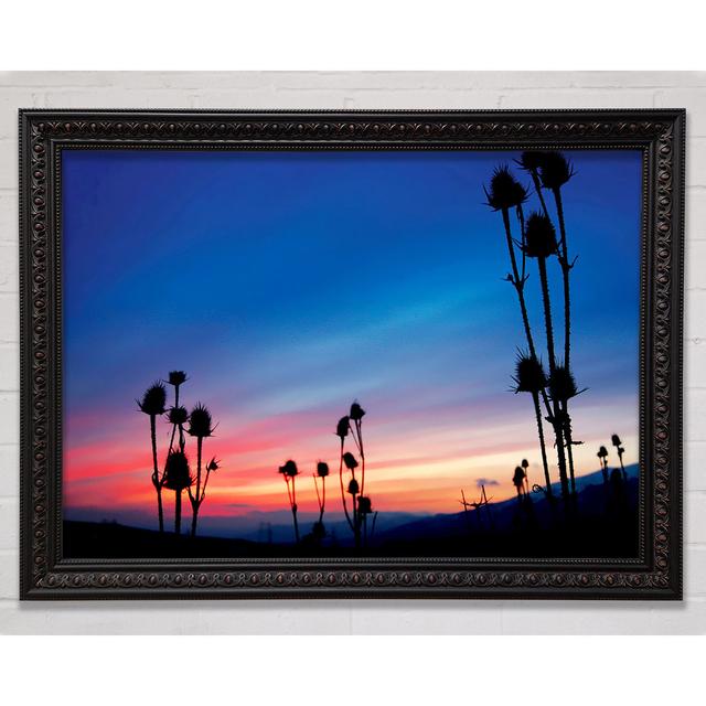 Red Winter Sky Near Dusk Framed Print Bright Star Size: 29.7cm H x 42cm W on Productcaster.