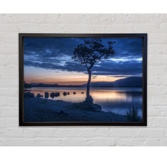 Night Time Blues By The River Framed Print Bright Star Size: 84.1cm H x 118.9cm W on Productcaster.