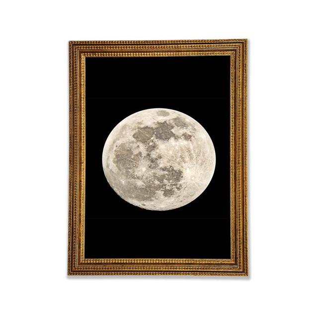 The Moon - Print Rosalind Wheeler Size: 42cm H x 29.7cm W x 3cm D on Productcaster.