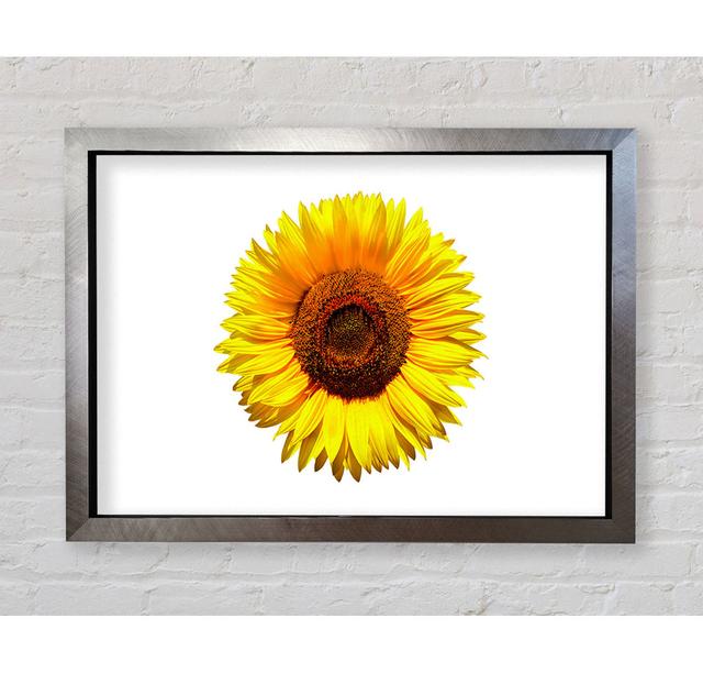 Yellow Sunflower Head - Print August Grove Size: 100.1cm H x 141.4cm W x 3.4cm D, Format: Silver Framed Paper on Productcaster.