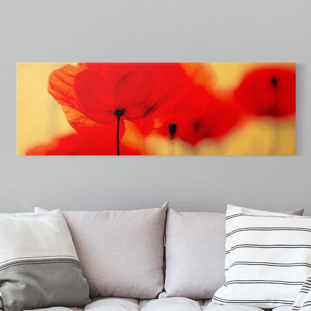 Magic Poppies - Wrapped Canvas Panoramic Graphic Art Rosalind Wheeler Size: 50cm H x 150cm W on Productcaster.