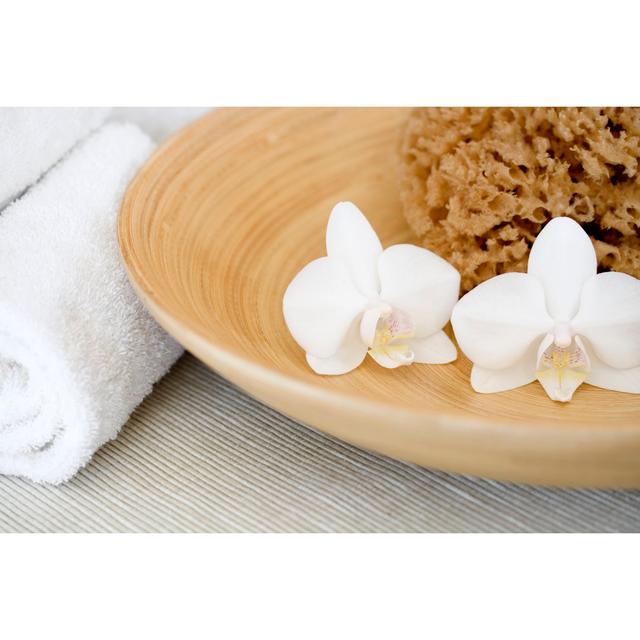 Aquila Aromatherapy Bowl - Wrapped Canvas Photograph 17 Stories Size: 30cm H x 46 cm W x 3.8cm D on Productcaster.