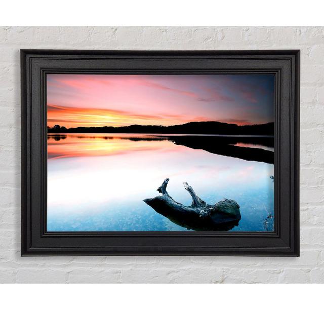 Driftwood In The Tranquil Ocean Framed Print Highland Dunes Size: 84.1cm H x 142.2cm W x 8cm D on Productcaster.