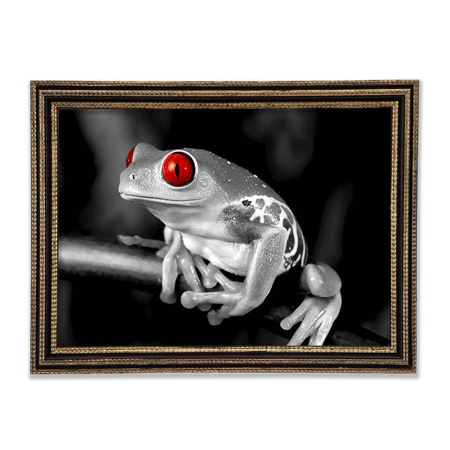 Red Eyed Frog - Print Ebern Designs Size: 84.1cm H x 118.9cm W x 3cm D on Productcaster.