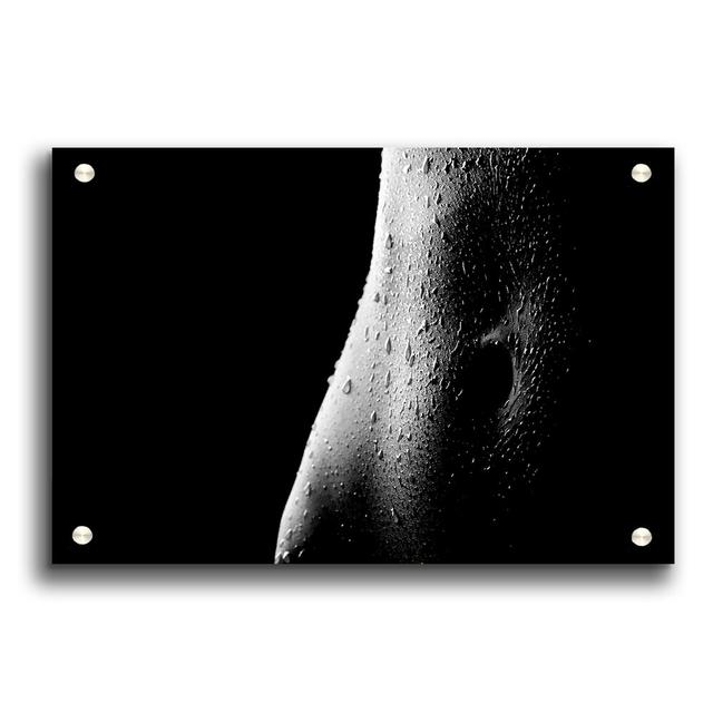 Torso Beauty - Unframed Photograph Print on Paper East Urban Home Size: 84.1cm H x 118.9cm W on Productcaster.