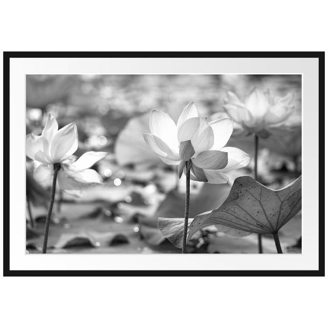 Gerahmtes Poster Asiatische Lotusblüte im Teich East Urban Home Größe: 70 cm H x 100 cm B on Productcaster.