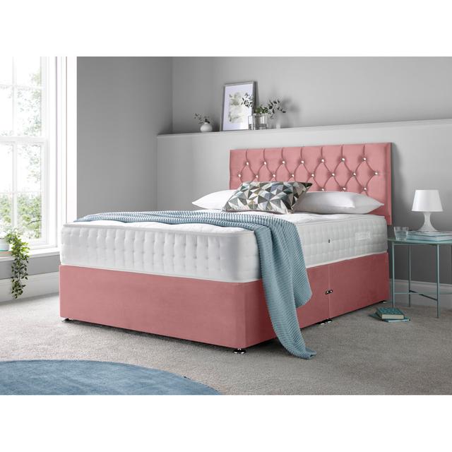 Matherville Divan Bed Set Rosdorf Park Colour: Pink, Size: Single (3'), Storage Type: No Drawers on Productcaster.