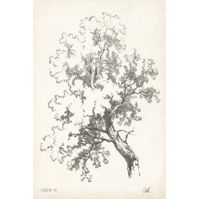 Oak Tree Study - Wrapped Canvas Art Prints Rosalind Wheeler Size: 76cm H x 51cm W x 3.8cm D on Productcaster.