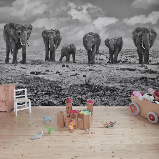 Extended Family of Elephants Semi-Gloss Wallpaper Roll East Urban Home Size: 2.88cm x 190cm, Material quality: Premium (150g/m²) on Productcaster.