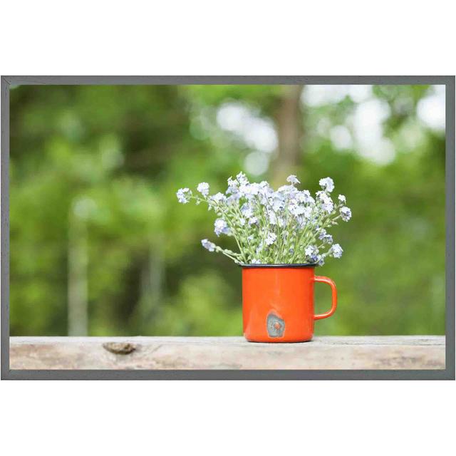 Ansted Forget Me Not Flowers - Single Picture Frame Print Latitude Run Size: 51cm H x 76cm W x 4cm D, Frame Colour: Grey on Productcaster.