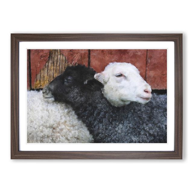 Black and White Sheep - Picture Frame Painting East Urban Home Size: 48cm H x 65cm W x 2cm D, Frame Option: Walnut Framed on Productcaster.