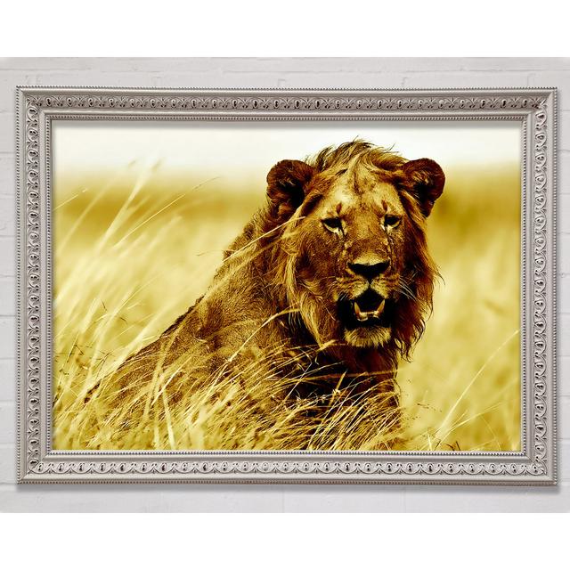 Lion Watching Out For Dinner - Single Picture Frame Art Prints Bright Star Size: 21cm H x 29.7cm W on Productcaster.