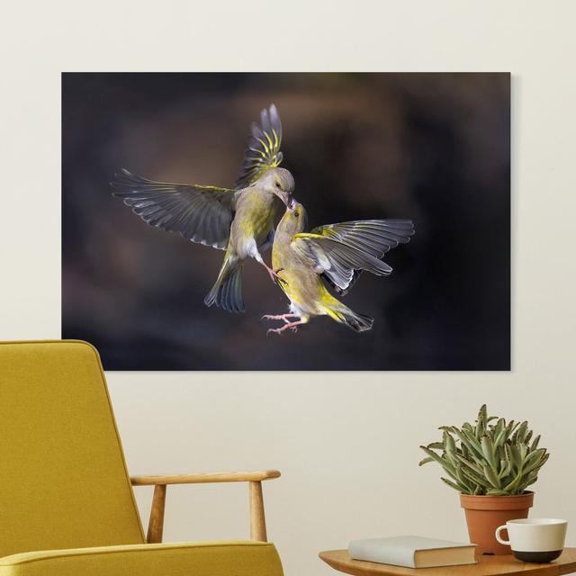 Kissing Hummingbirds - Wrapped Canvas Graphic Art Ebern Designs Size: 80cm H x 120cm W on Productcaster.