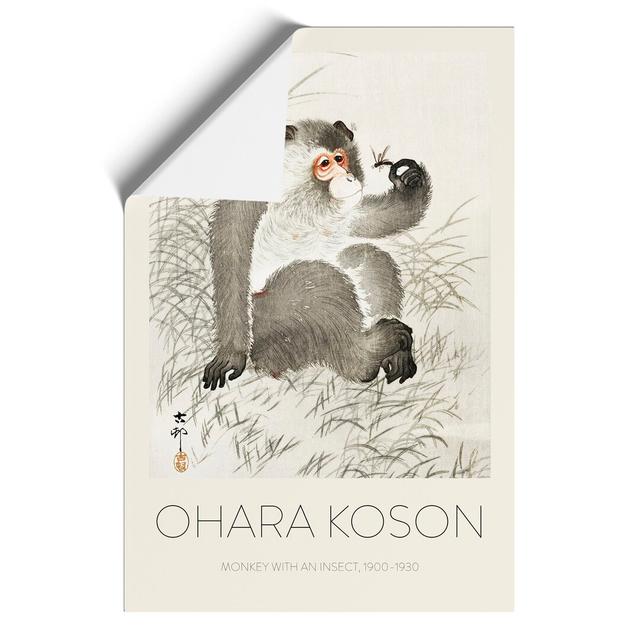 Monkey with an Insect by Ohara Koson - Unframed Graphic Art East Urban Home Size: 42cm H x 30cm W x 0.1cm D on Productcaster.