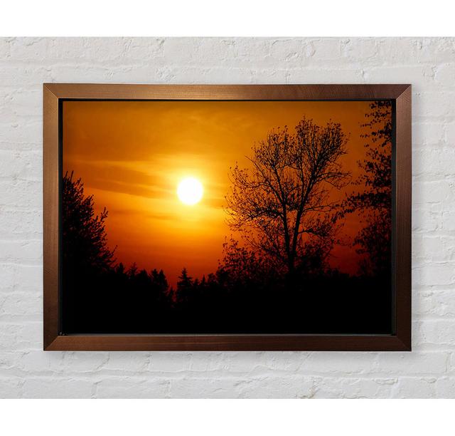 Orange Sunset Over Trees - Single Picture Frame Art Prints Ebern Designs Size: 42cm H x 59.7cm W x 3.4cm D on Productcaster.