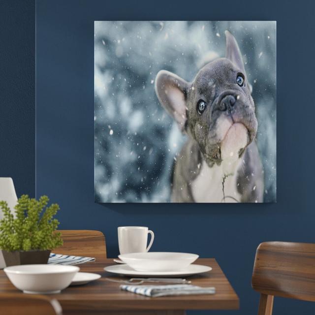 Leinwandbild French Bulldog Puppy East Urban Home Größe: 150 L x 50 B on Productcaster.