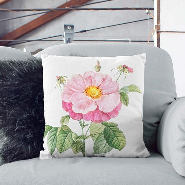 A Provins Rose in by Pierre-Joseph Redoute Cushion with Filling East Urban Home Size: 40 x 40 cm, Backing Colour: Stone on Productcaster.