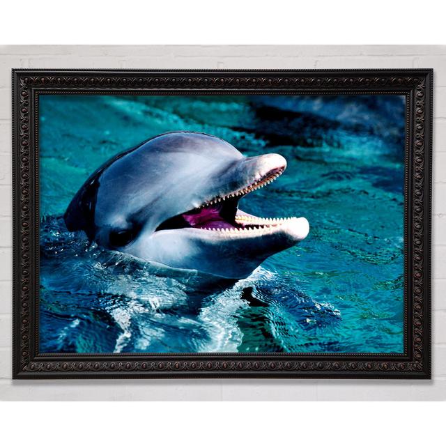 Dolphins Call - Single Picture Frame Art Prints Bright Star Size: 84.1cm H x 118.9cm W on Productcaster.