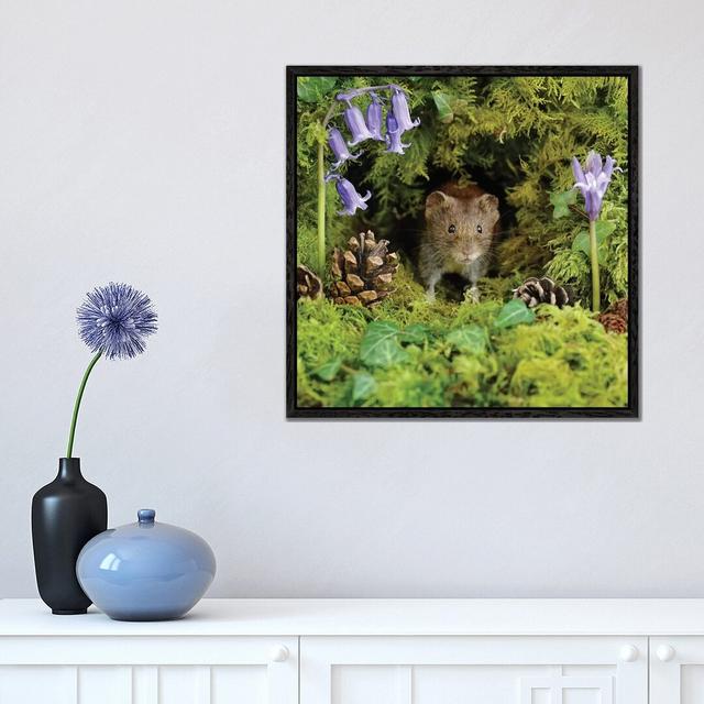 Bank Vole At Home by Dean Mason - Print on Canvas Union Rustic Size: 45.72cm H x 45.72cm W x 3.81cm D, Format: Black Framed on Productcaster.