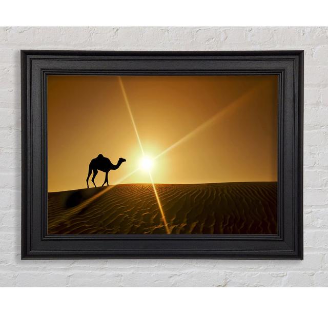 Desert Camel - Print Brayden Studio Size: 29.7cm H x 42cm W x 8cm D, Format: Galway Gold/Black Framed Paper on Productcaster.