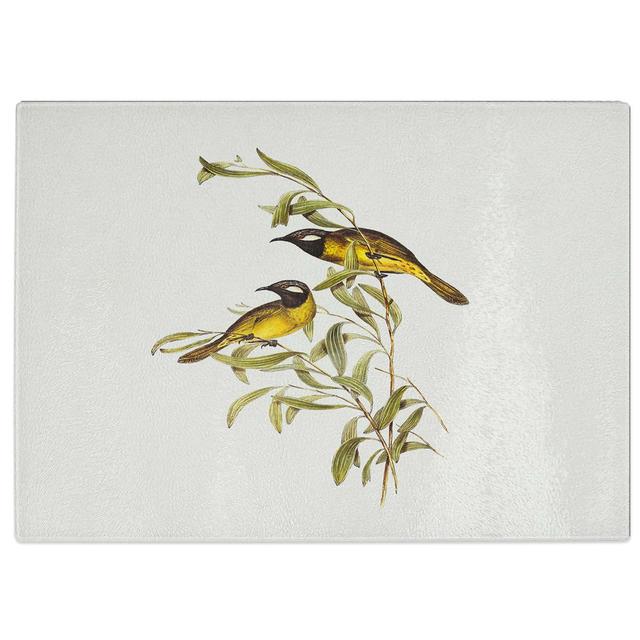 Tempered Glass White-Eared Honeyeaters by Elizabeth Gould Cutting Board East Urban Home Size: 39 cm W x 28.5 cm L on Productcaster.