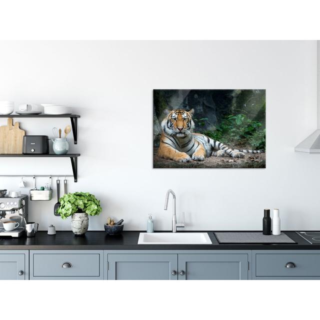 Lying Tiger - Unframed Photograph on Glass Brayden Studio Size: 60cm H x 80cm W x 0.4cm D on Productcaster.