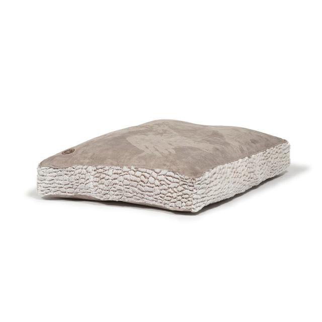 Box Dog Pillow in Grey Danish Design Size: Large on Productcaster.