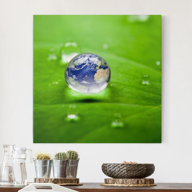 Save the Planet - Wrapped Canvas Graphic Art Ebern Designs Format: 260g/m² Canvas, Size: 50cm H x 50cm W on Productcaster.