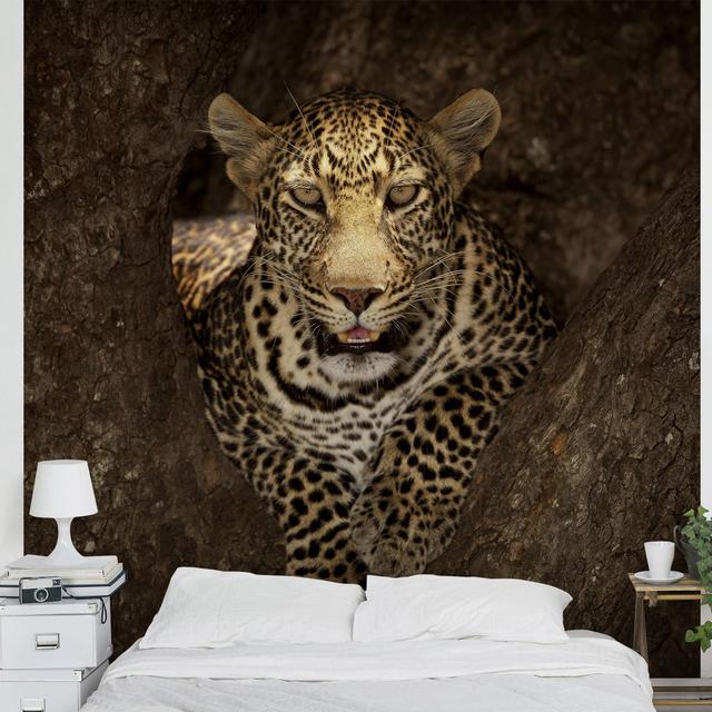 Leopard Resting on a Tree 2.9m x 4.32m Textured Matte Peel & Stick Wall Mural East Urban Home Size: 2.88m x 288cm, Material quality: Standard (110g/m² on Productcaster.