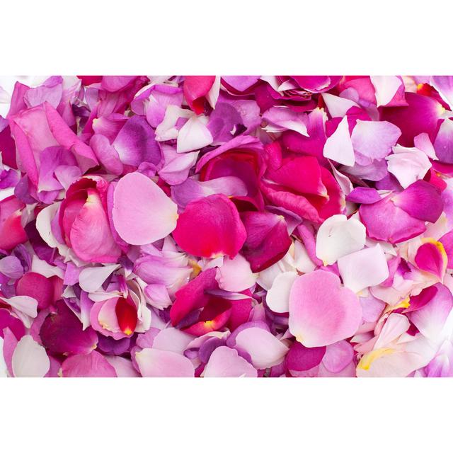 Rose Petals by Dianazh - Wrapped Canvas Photograph 17 Stories Size: 61cm H x 91cm W x 3.8cm D on Productcaster.