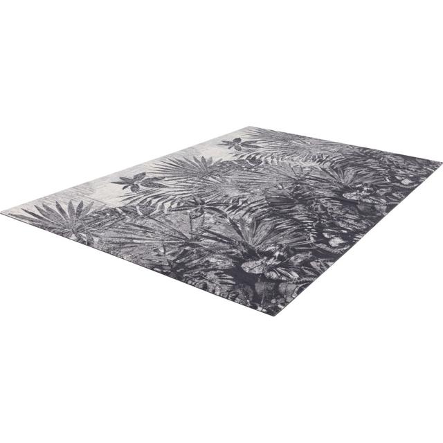 Webmaschine Teppich Diverse Tropic aus Wolle in Grau Agnella Teppichgröße: Rechteckig 200 x 300cm on Productcaster.