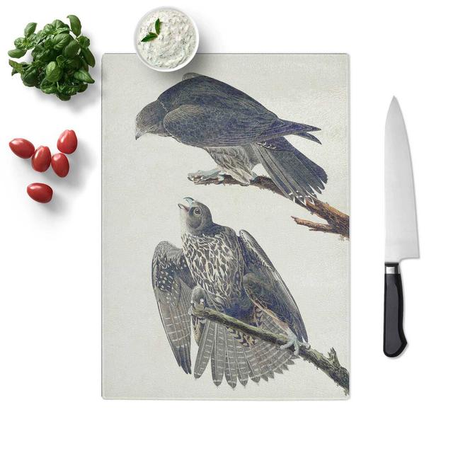 Glass Labrador Falcons by John James Audubon Chopping Board East Urban Home Size: 39 cm W x 28.5 cm L on Productcaster.