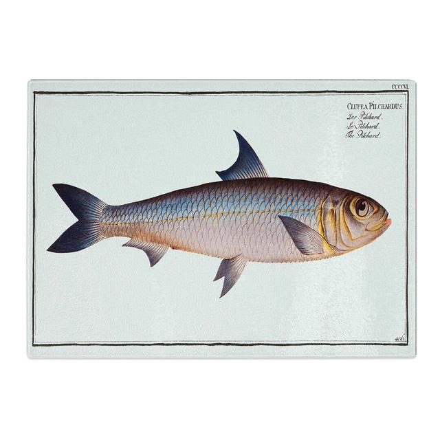 Tempered Glass Pilchard Fish by M.E. Bloch Chopping Board East Urban Home Size: 39 cm x 28.5 cm on Productcaster.