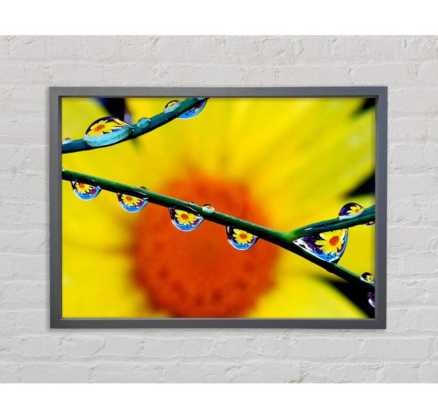 Dewdrop Reflections - Single Picture Frame Art Prints on Canvas Bright Star Size: 59.7cm H x 84.1cm W x 3.3cm D on Productcaster.