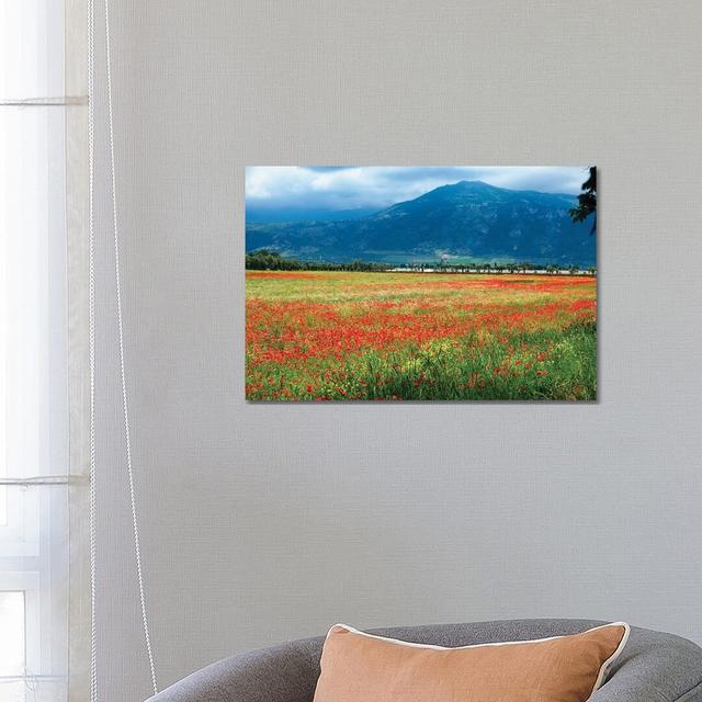 Poppies Filled Meadow, Latina, Italy by George Oze - Wrapped Canvas Painting ClassicLiving Size: 45.72cm H x 66.04cm W x 1.905cm D on Productcaster.