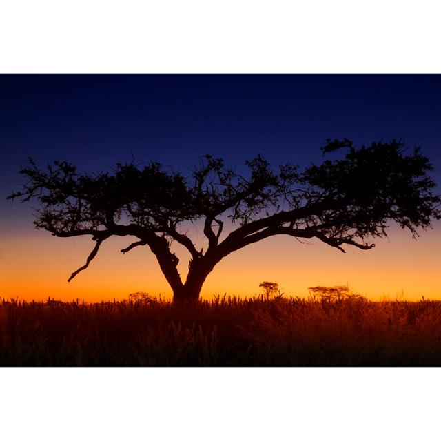 Sunset In Africa by LucynaKoch - Wrapped Canvas Print 17 Stories Size: 51cm H x 76cm W on Productcaster.