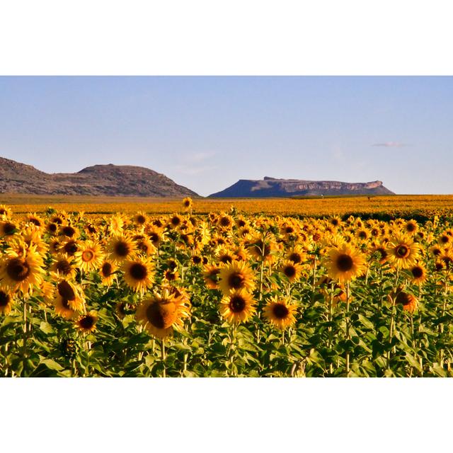 A Sunflower Field by Yumie Yokomizo - Print Brambly Cottage Size: 50cm H x 75cm W x 1.8cm D on Productcaster.