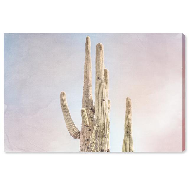 'Sunset Cactus' Photographic Print on Canvas East Urban Home Size: 61cm H x 91cm W on Productcaster.