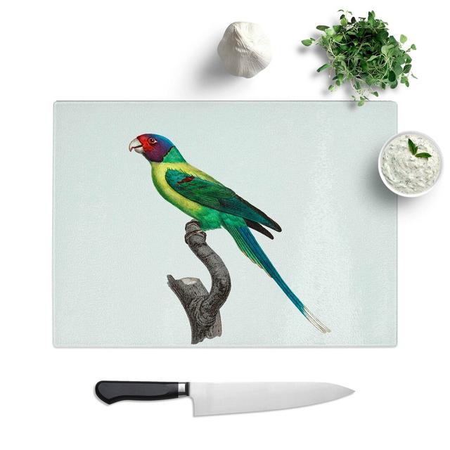 Tempered Glass Plum-Headed Parakeet by F. Levaillant Chopping Board East Urban Home Size: 28.5 cm W x 20 cm L on Productcaster.