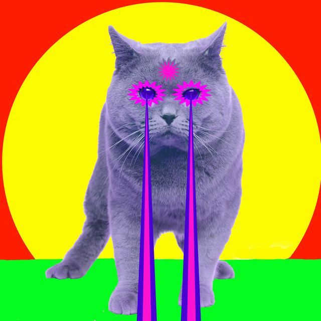 Cat with Lasers from Eyes by Unomat - Wrapped Canvas Graphic Art Happy Larry Size: 76cm H x 76cm W on Productcaster.