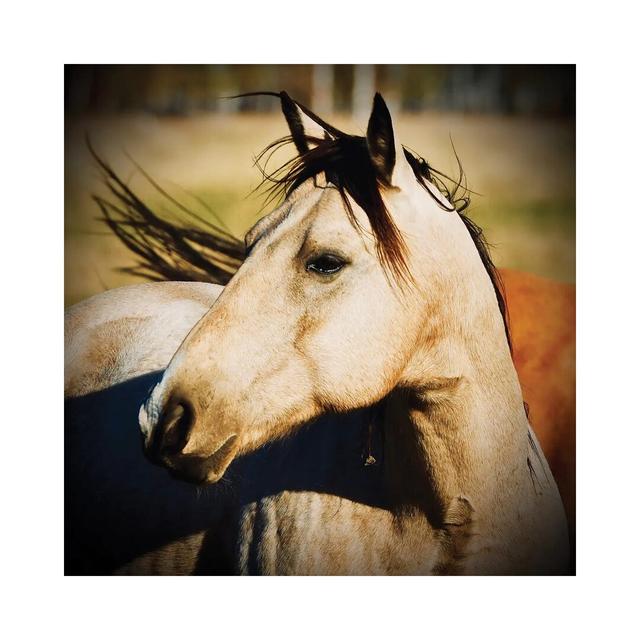 Horse Profile by Susan Vizvary - Wrapped Canvas Photograph Natur Pur Size: 45.72cm H x 45.72cm W x 1.91cm D on Productcaster.