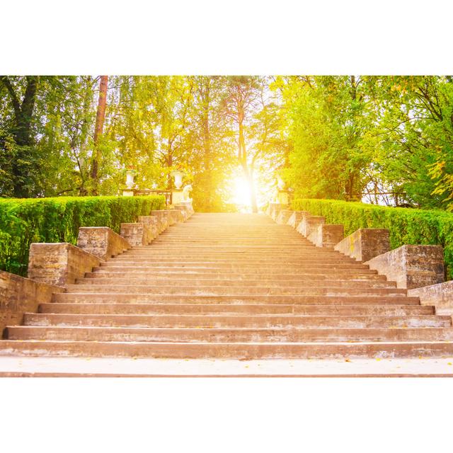 Wide Staircase in the Park by Aapsky - Wrapped Canvas Photograph 17 Stories Size: 81cm H x 122cm W on Productcaster.