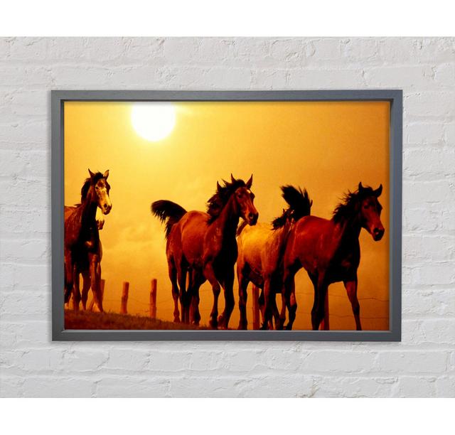 Running Horses At Sunset Framed Print Bright Star Size: 84.1cm H x 118.9cm W x 3.3cm D on Productcaster.