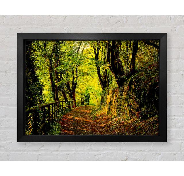 Forest Walking Path - Single Picture Frame Art Prints Bright Star Size: 42cm H x 59.7cm W x 3.4cm D on Productcaster.